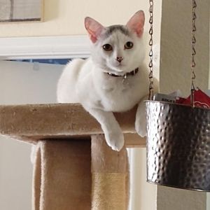 Meet your Posher, Sky